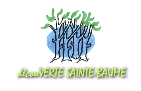 Découverte Sainte-Baume